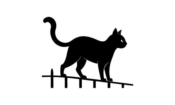Black Cat on a Fence