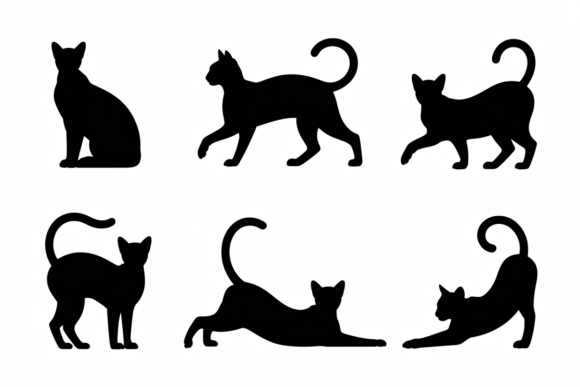 Black Cat Silhouettes Posing
