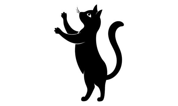 Standing Black Cat Reaching Upward
